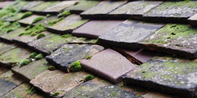 Shipton Lee roof repair costs